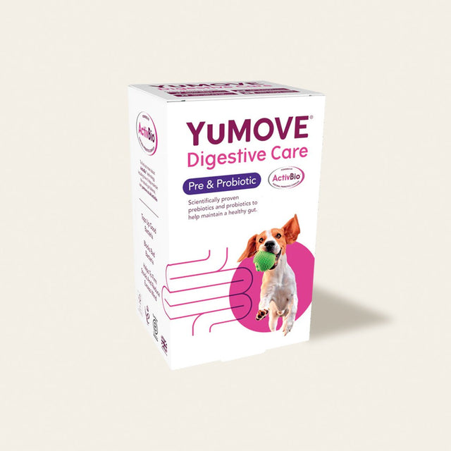 Digestive Care Prebiotic & Probiotic Tablets Digestive Health1