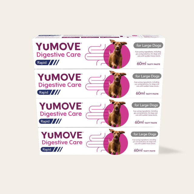4 Pack Digestive Care Rapid Bundle Large Dog4