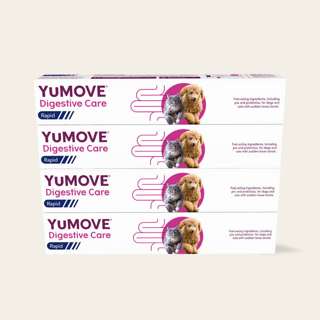 4 Pack Digestive Care Rapid Bundle1