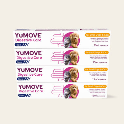 4 Pack Digestive Care Rapid Bundle Small Dog 2