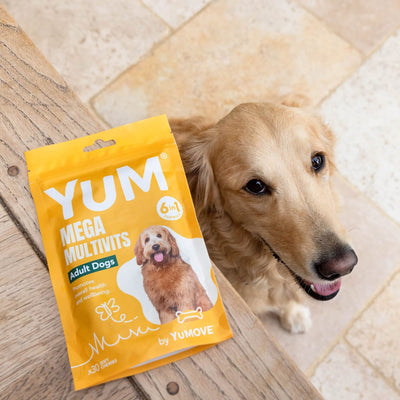 YuM MEGA MultiVits Adult Dog Vitamins 2