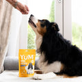 YuM MEGA MultiVits Senior Dogs Vitamins bullet 2