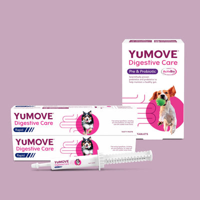 Digestive Bundle Bundle Small Dog 2