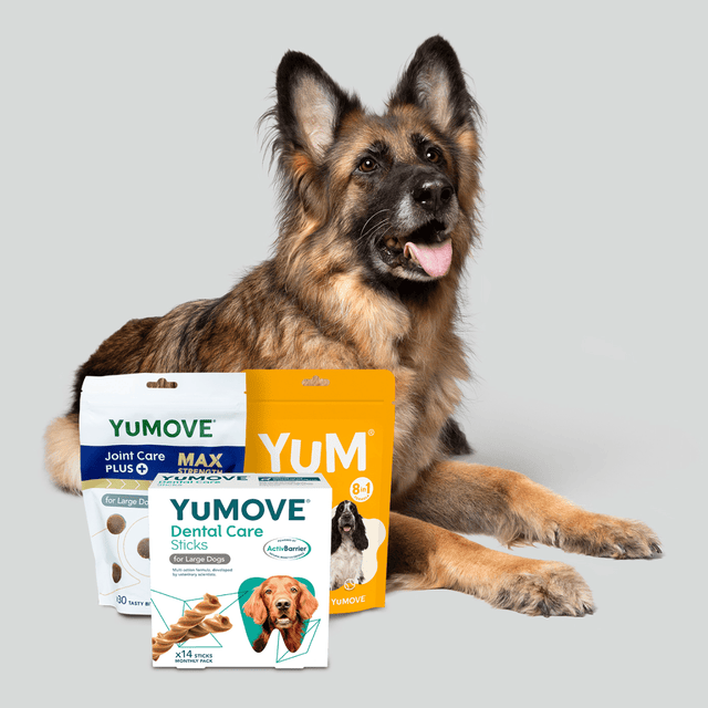 Senior Dog Bundle Dog Supplement Bundles YuMOVE