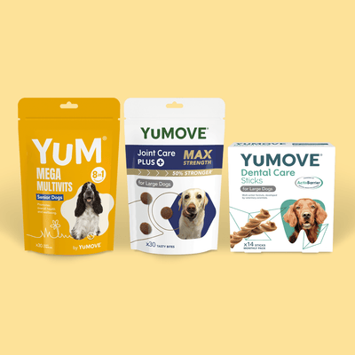 Senior Dog Bundle Bundle 2