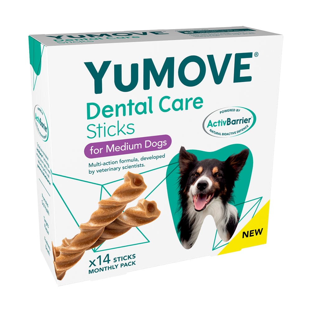 Dental stuff for store dogs