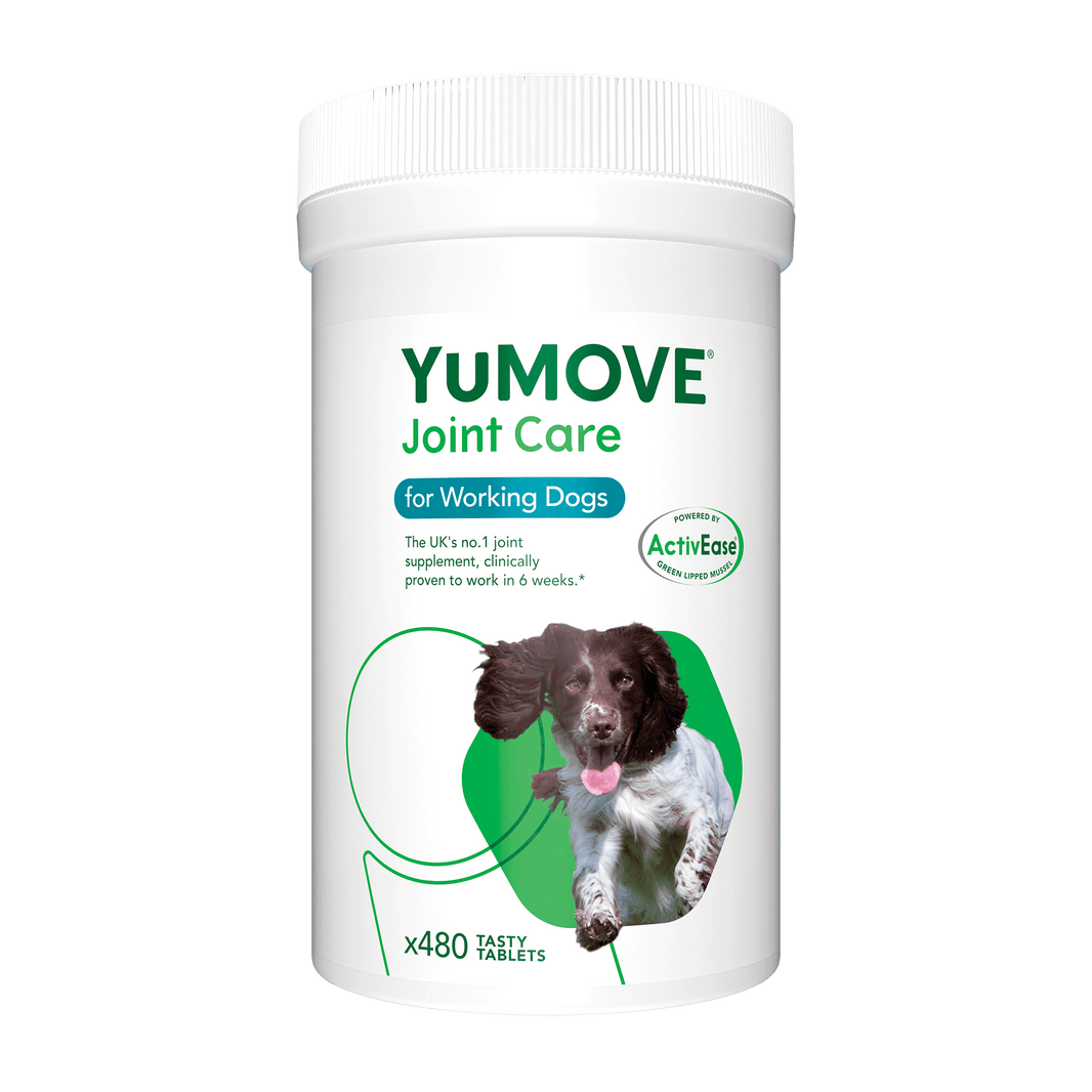 YuMOVE's Best Joint Supplements for Dogs Joint Care for Dogs YuMOVE UK