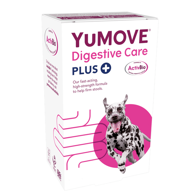 Digestive Care PLUS For Dogs and Cats1