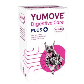 Digestive Care PLUS For Dogs and Cats