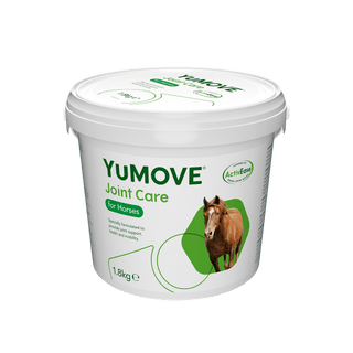 Joint Care for Horses