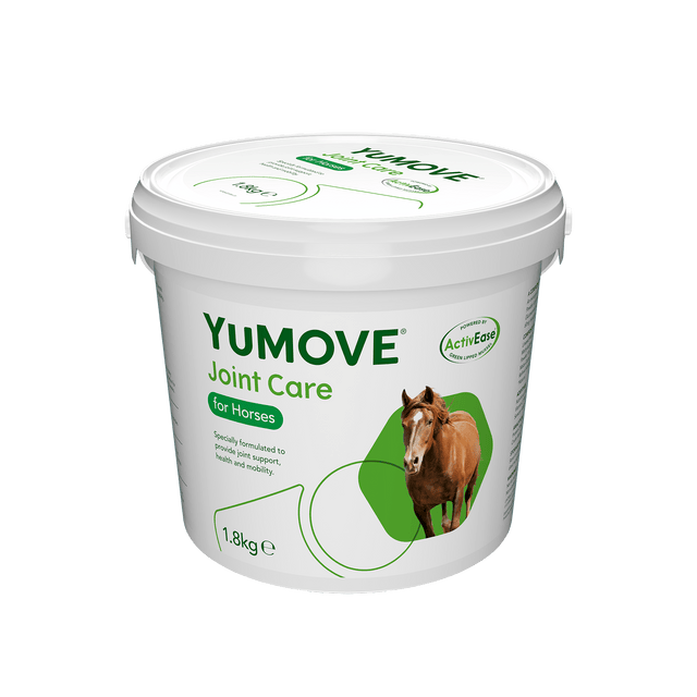 Joint Care for Horses1