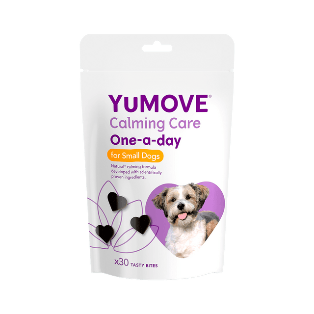 Calming Supplements for Dogs Calming Chews & Tablets for Dogs YuMOVE UK