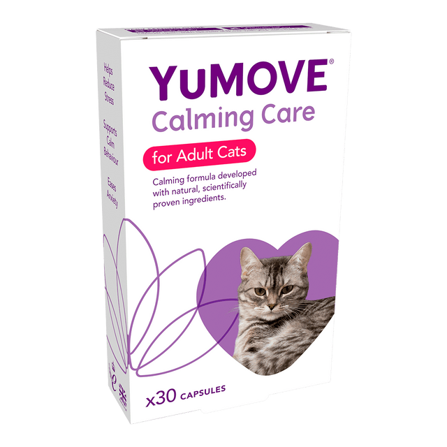 Calming Care for Cats1