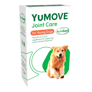 Joint Care for Young Dogs | Bulk Buy 240 Tablets